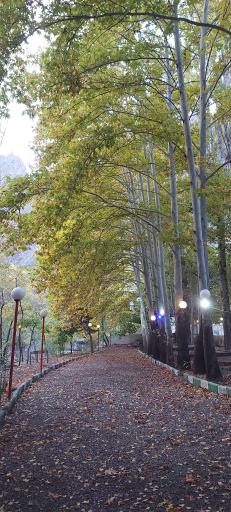 عکس باغ رستوران بزرگ جوان