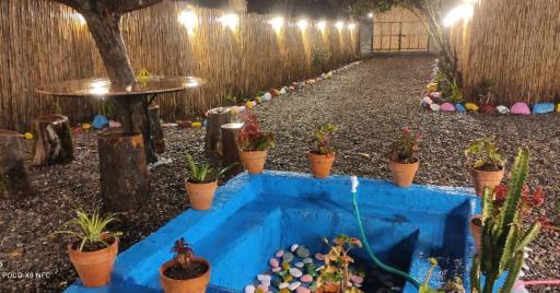 عکس باغچه رستوران هرمان