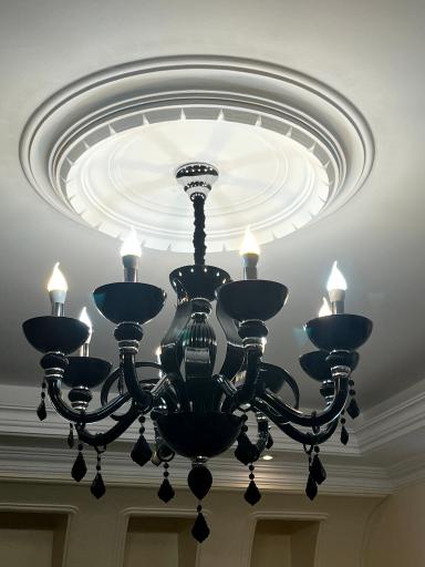 عکس شایان لوستر 