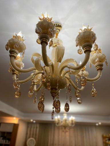 عکس شایان لوستر 