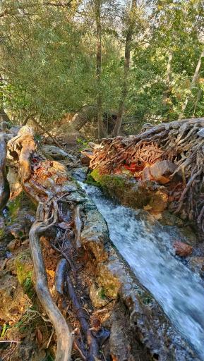 عکس آبشار نیاسر