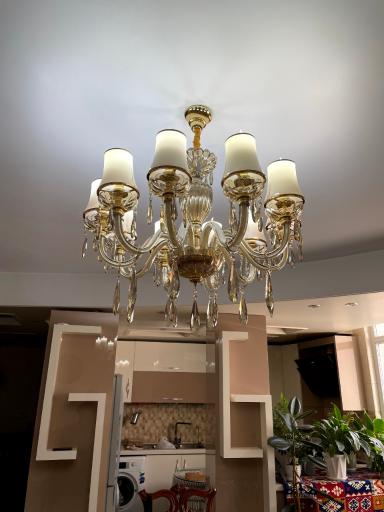 عکس شایان لوستر 