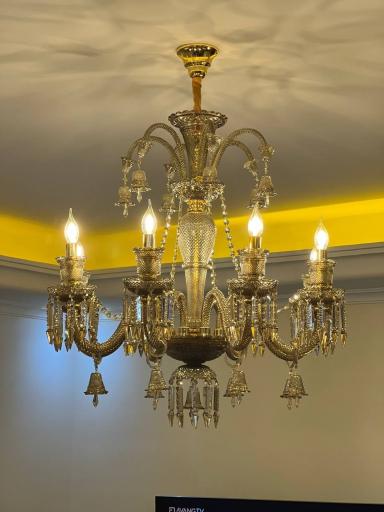 عکس شایان لوستر 