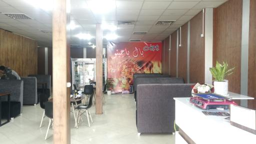 عکس پاچینی بال پاچینو