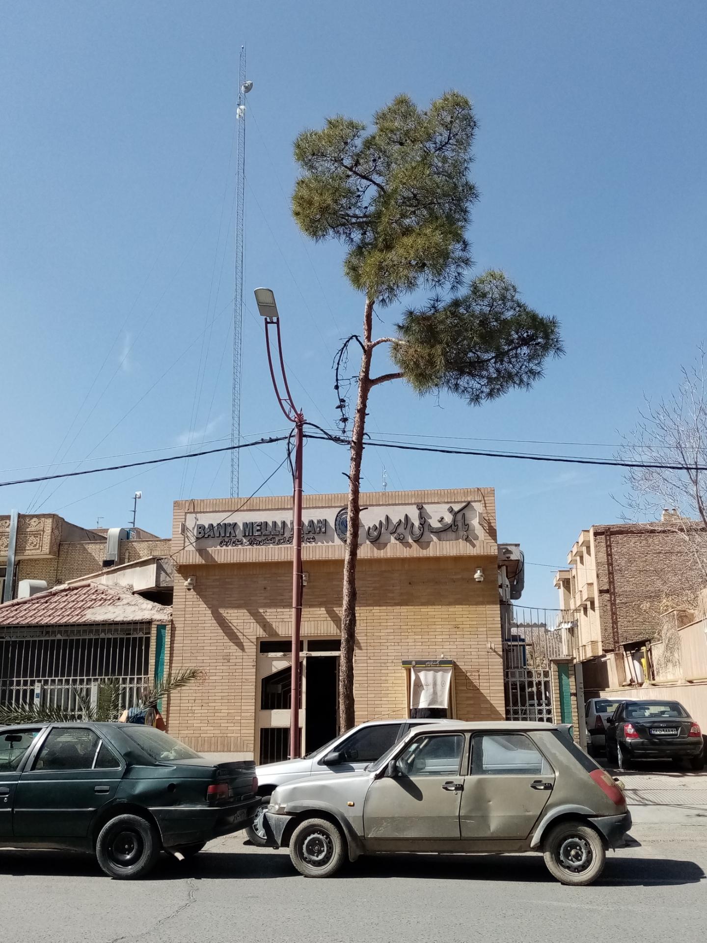 عکس بانک ملی ایران 