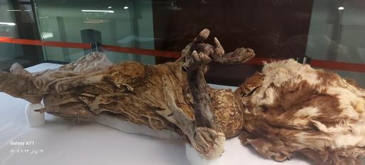 عکس موزه باستان شناسی و مردان نمکی