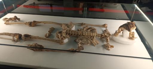 عکس موزه باستان شناسی و مردان نمکی