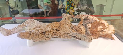 عکس موزه باستان شناسی و مردان نمکی