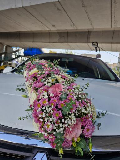 عکس گل فروشی نبوی