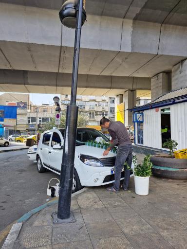 عکس گل فروشی نبوی