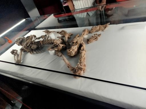 عکس موزه باستان شناسی و مردان نمکی