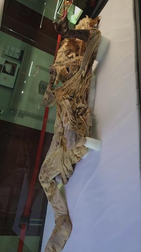 عکس موزه باستان شناسی و مردان نمکی