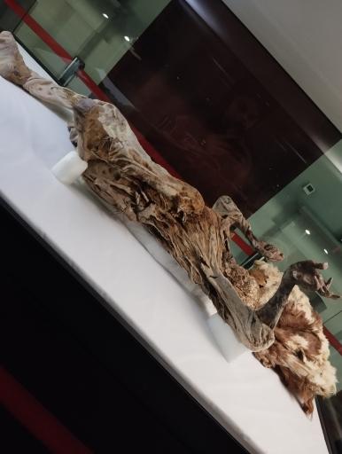 عکس موزه باستان شناسی و مردان نمکی