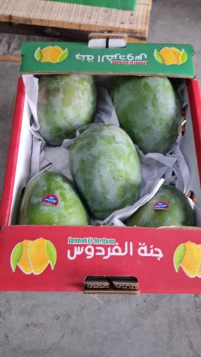 عکس میوه فروشی قربانی
