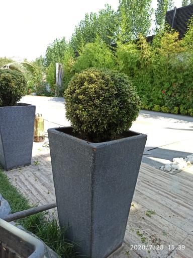 عکس نهالستان جهان (مهندس جهانگیری)