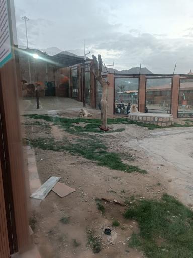 عکس دهکده و پارک جنگلی گل گهر سیرجان