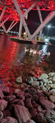 عکس دهکده و پارک جنگلی گل گهر سیرجان