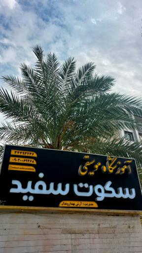 آموزشگاه موسیقی سکوت سفید 