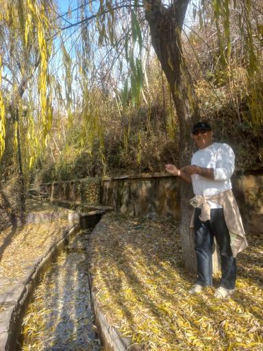 عکس بوستان پردیسان