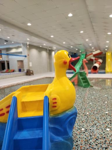 عکس استخر مجموعه تفریحی ورزشی احسان ماندگار