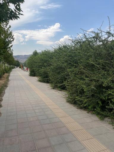 عکس پارک ساحلی دریاچه لواسان
