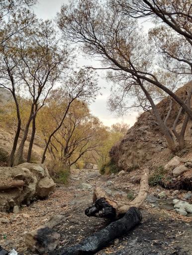 عکس رودخانه شهدای حصارک