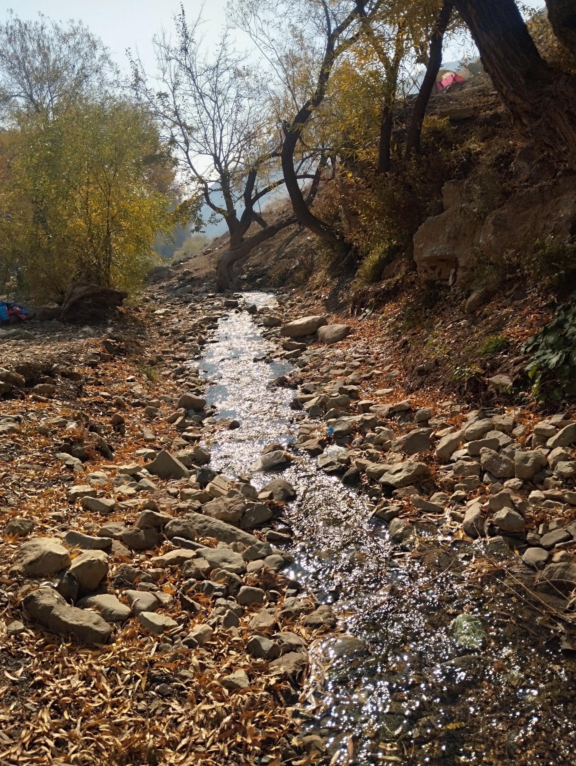 عکس رودخانه حصارک