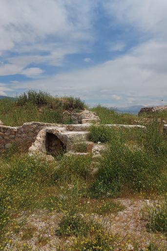 عکس طاق طویله