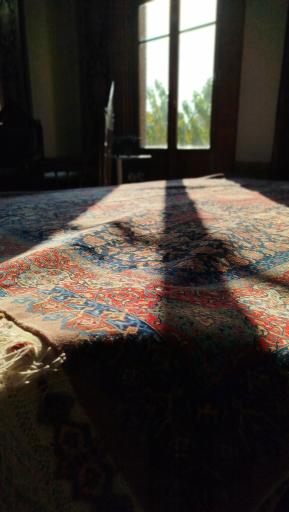 عکس شرکت سهامی فرش ایران