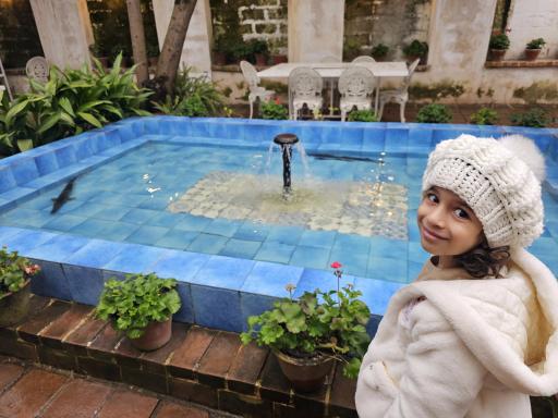 رستوران ماهی سفید