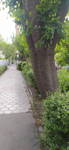 عکس بوستان قربانی