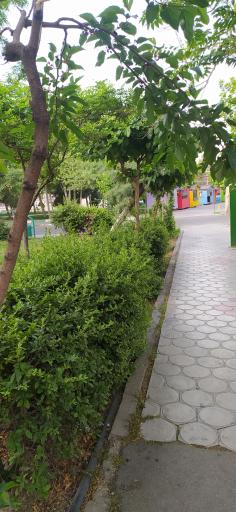 عکس بوستان قربانی