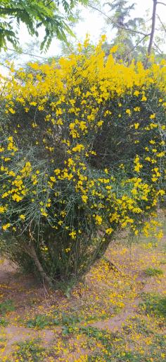 عکس بوستان قربانی