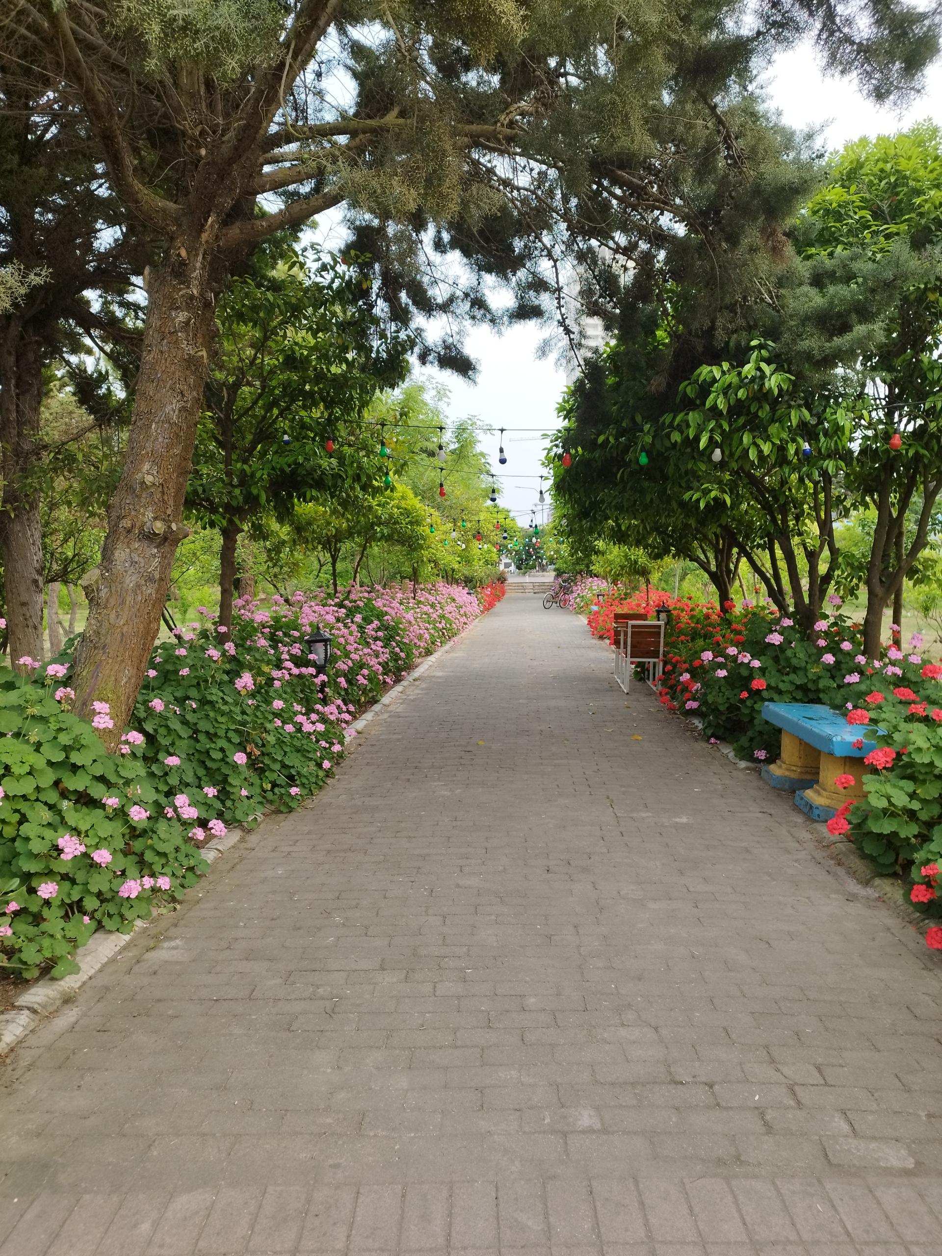 عکس مجموعه آموزشی، فرهنگی و ورزشی بانک رفاه