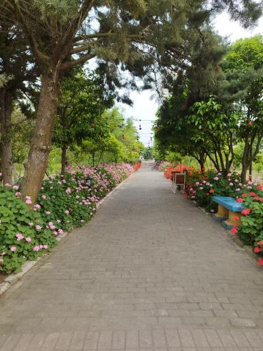 عکس مجموعه آموزشی، فرهنگی و ورزشی بانک رفاه