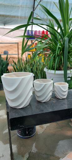 عکس گلخانه اریکا