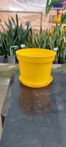 عکس گلخانه اریکا