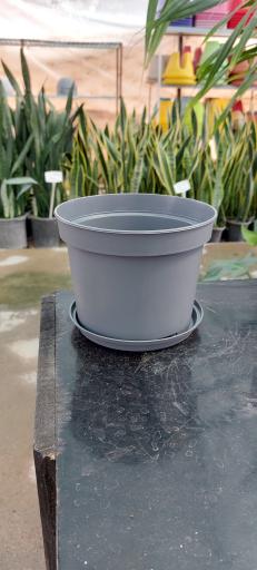 عکس گلخانه اریکا