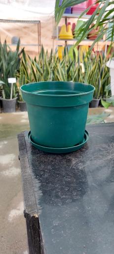 عکس گلخانه اریکا