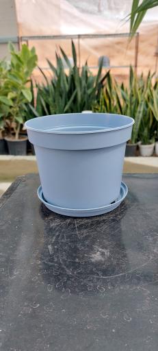 عکس گلخانه اریکا