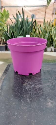 عکس گلخانه اریکا