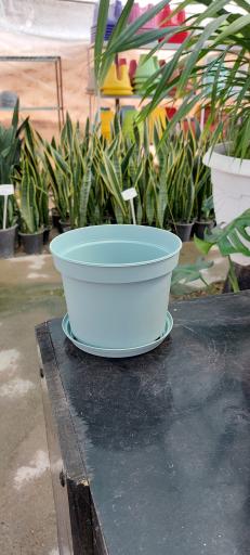 عکس گلخانه اریکا