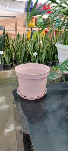 عکس گلخانه اریکا