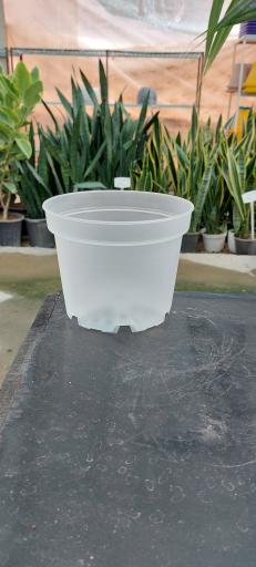 عکس گلخانه اریکا