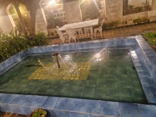 عکس رستوران ماهی سفید