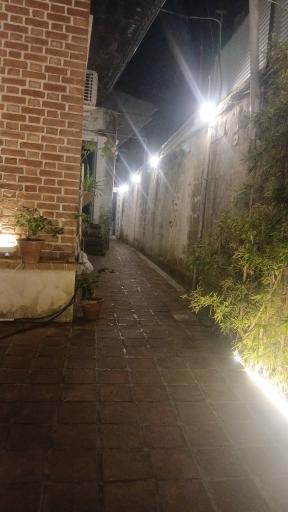 عکس رستوران ماهی سفید