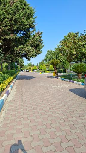 عکس مجموعه آموزشی، فرهنگی و ورزشی بانک رفاه