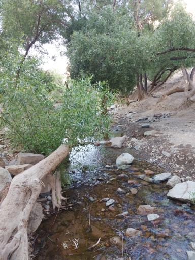 عکس رودخانه شهدای حصارک