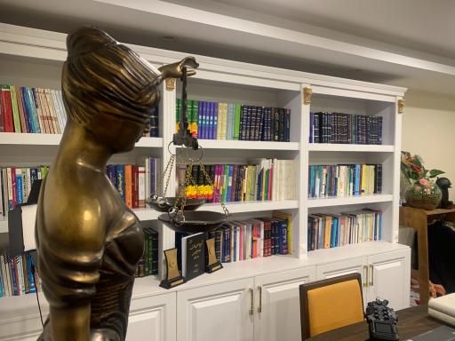 عکس موسسه حقوقی حامی بینا