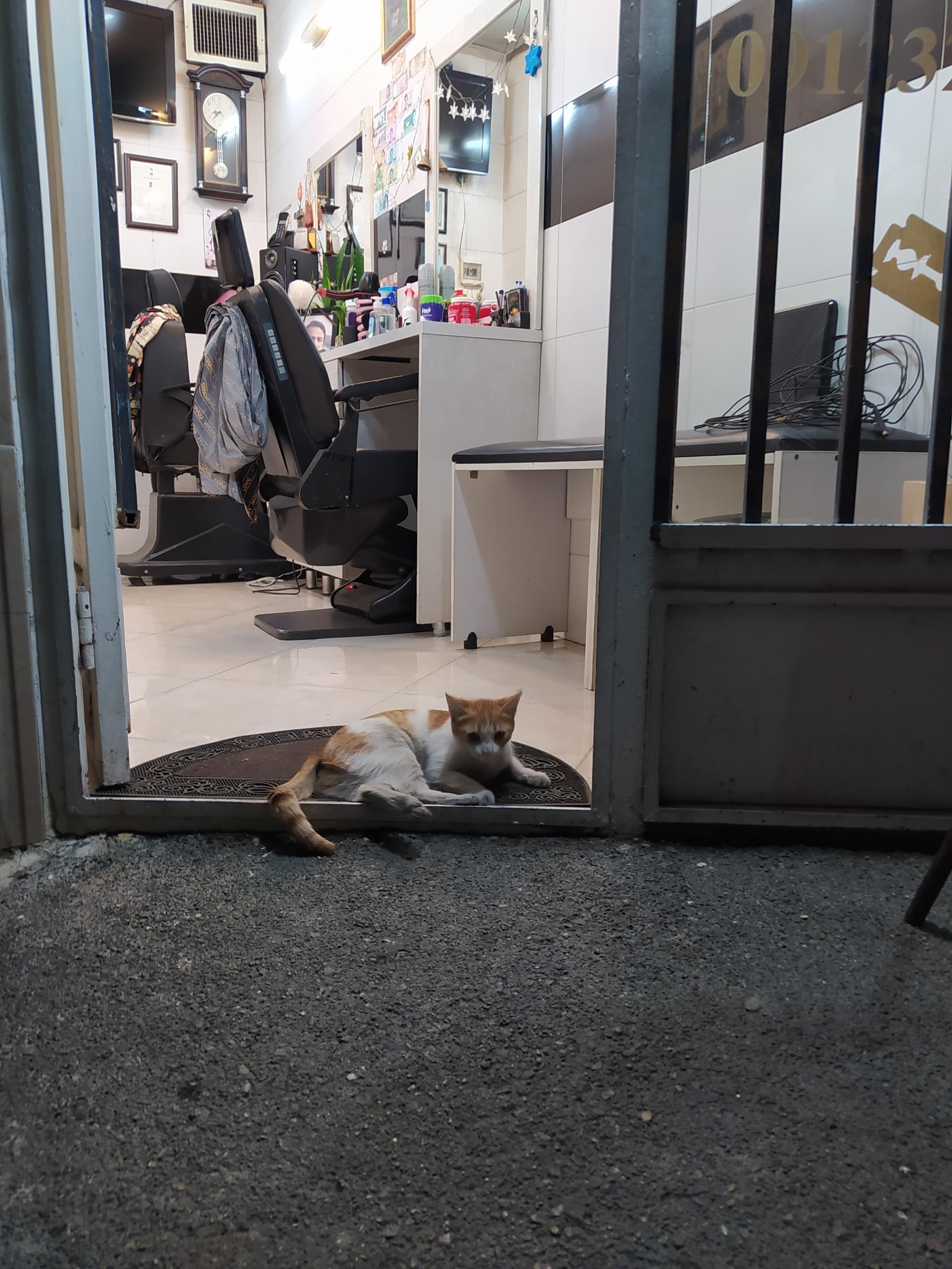 عکس آرایشگاه علی 